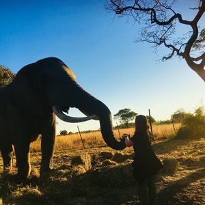 Meet your Posher, Lara